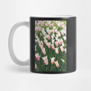 Tulips Mug